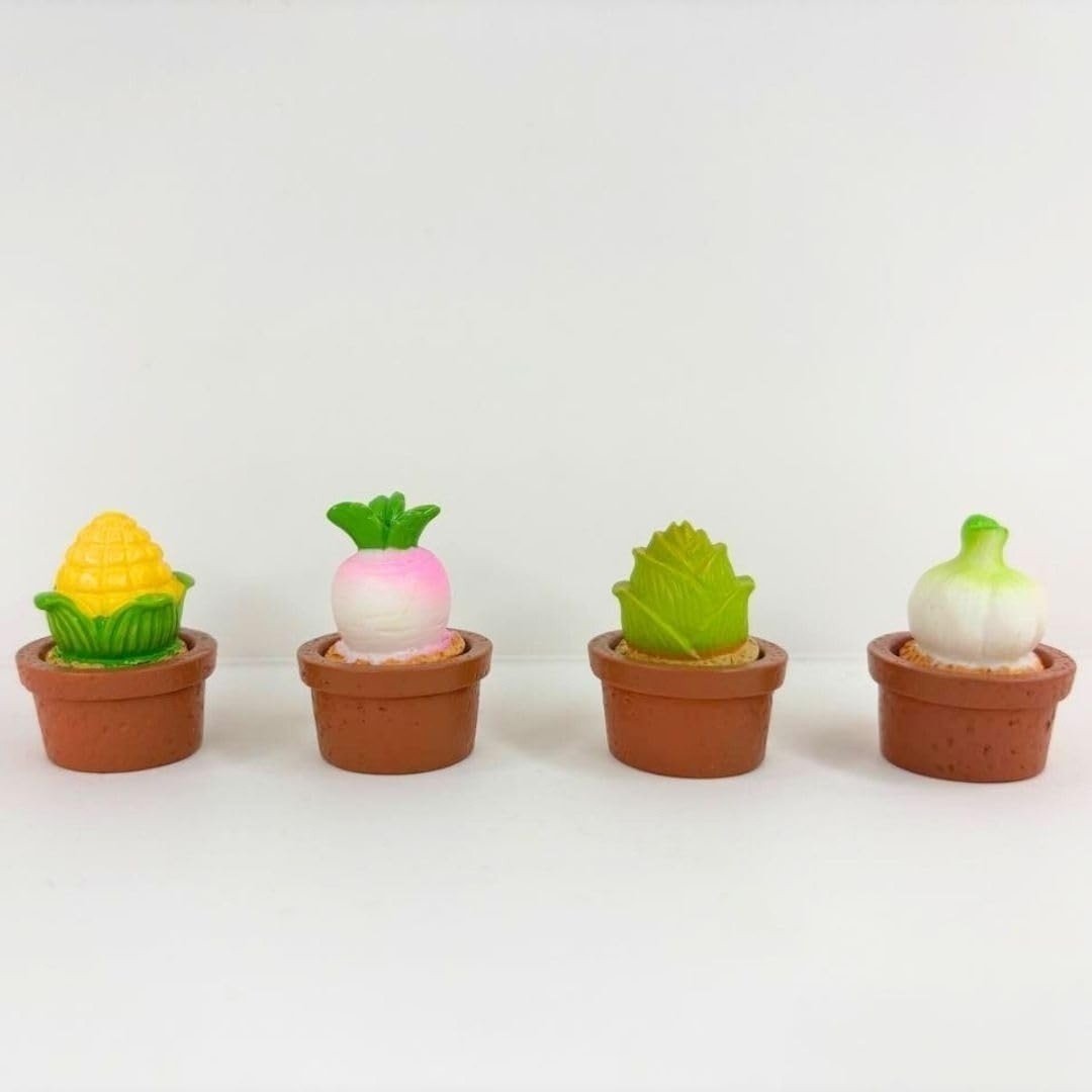Potted Veggies Set of 4