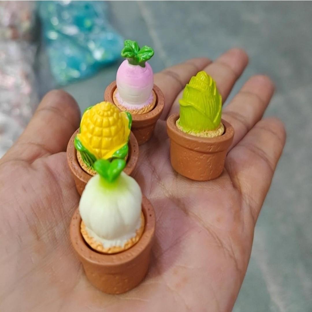 Potted Veggies Set of
