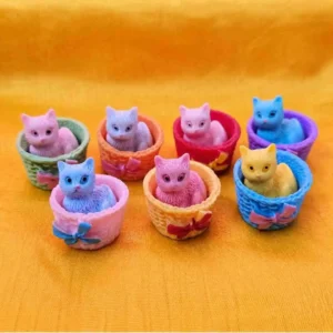 Busket Cat