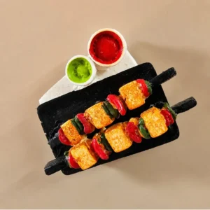 Paneer Kebab Handmade Magnet