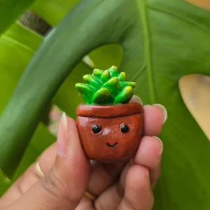 🌱 Handcrafted Indoor Plant Magnet